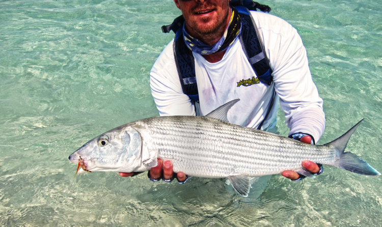 Le Mouching, Flyfishing, Pêche à la mouche, This is Fly