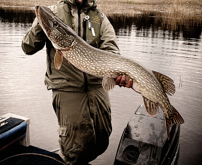 Le Mouching, Flyfishing, Pêche à la mouche, This is Fly