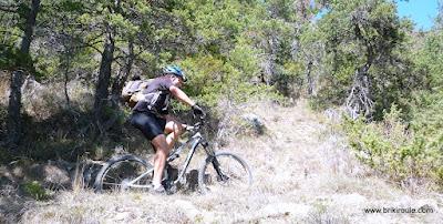 Just'incontournable !