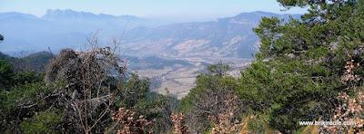 Just'incontournable !