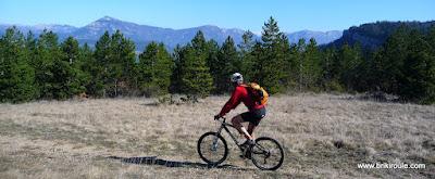 Just'incontournable !