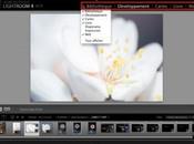 Astuce masquer modules dans Lightroom