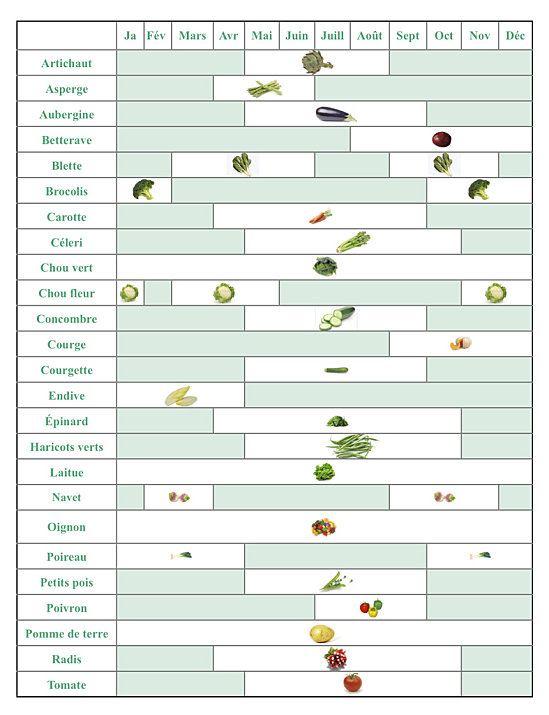 Repères : les saisons