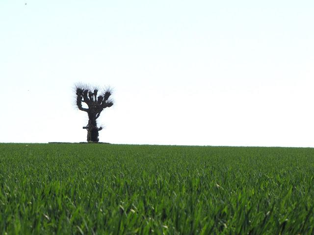 un jour d'Avril en Normandie