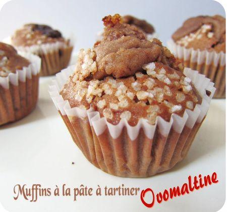 muffins ovomaltine (scrap)