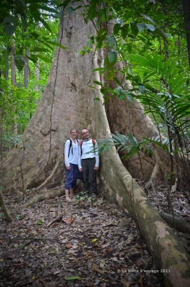 Avec Guillaume devant un ficus géant (Parc National de Tangkoko, Sulawesi Nord, Indonésie)
