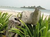 Ezile variations minérales végétales (mais que)