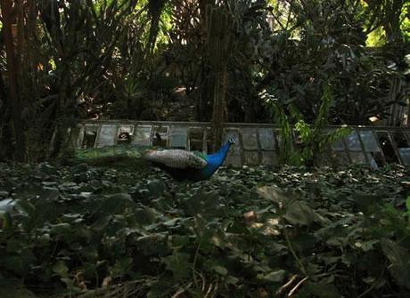 Didier Tallagrand Exposition A quoi rêvent-ils ?