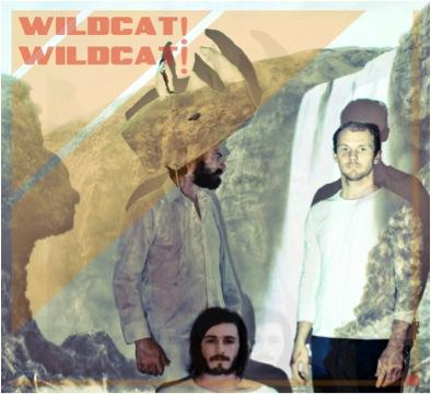 Wildcat! Wildcat! – Mr. Quiche
