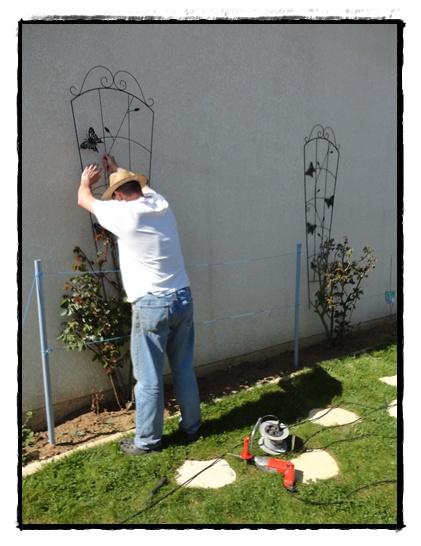 Nouveaux supports pour nos rosiers, 31 mars 2012