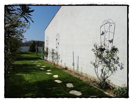 Nouveaux supports pour nos rosiers, 31 mars 2012