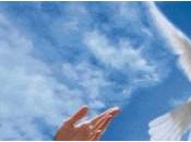 Doit-on choisir entre détester l’État aimer liberté