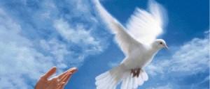 Doit-on choisir entre détester l’État et aimer la liberté ?