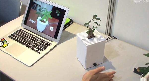 interactive plants Une plante émotive au Japon !