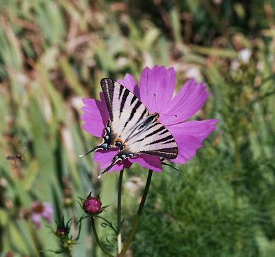 Prospérité et vaillance