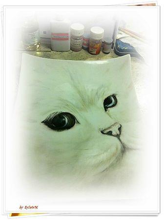 chat en technique américaine