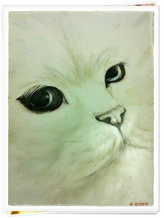 détail chat porcelaine