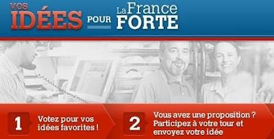 France Forte cherche idées pour programme 2012