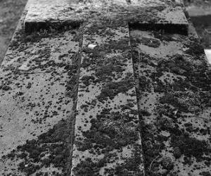 Mort dans son lit depuis 4 ans Mort dans son lit depuis 4 ans