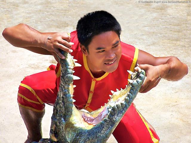Crocodile Farm, à Samut Prakan: on n'a pas idée aussi...