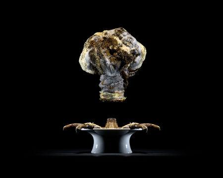 3photo_culinaire_pourrie_03