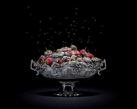 1photo_culinaire_pourrie_01