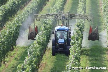 Pesticides : 2 associations accusent la Commission européenne de laxisme