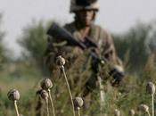 Afghanistan convois l'Otan Russie soumis contrôle stupéfiants