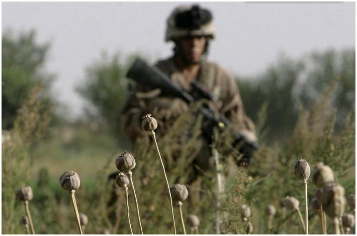 Soldat US dans un champ de pavot afghan le 7 juillet 2008.jpg