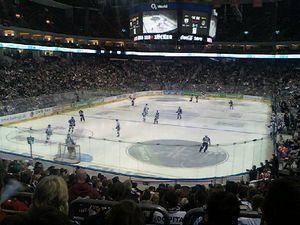 eisbaren-straubing1