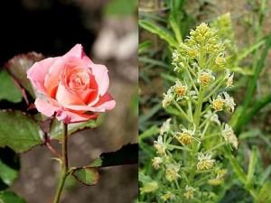 A ceux qui croient au ciel et à ceux qui n’y croient pas