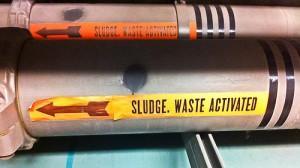 Photo Flickr CC ifl Photo Flickr CC ifl