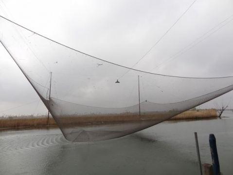 Pêche miraculeuse dans la lagune vénitienne