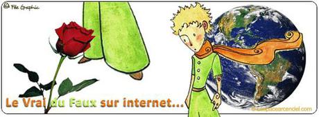Comment reconnaître le Vrai du Faux sur Internet ?