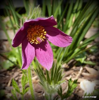Le beau temps aura encore duré cette semaine malgré des t...