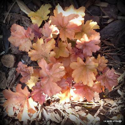 Le beau temps aura encore duré cette semaine malgré des t...