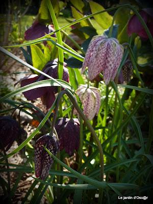 Le beau temps aura encore duré cette semaine malgré des t...