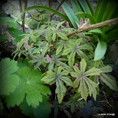 Le beau temps aura encore duré cette semaine malgré des t...