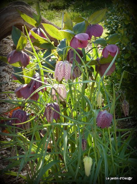 Le beau temps aura encore duré cette semaine malgré des t...