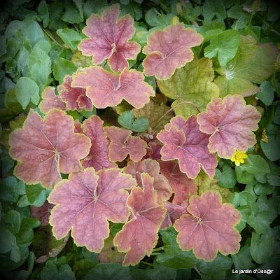 Le beau temps aura encore duré cette semaine malgré des t...