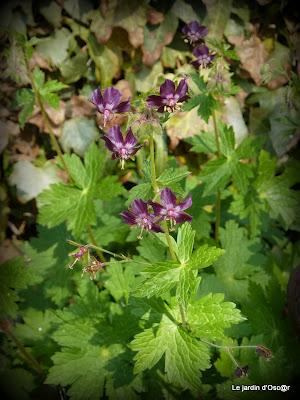 Le beau temps aura encore duré cette semaine malgré des t...