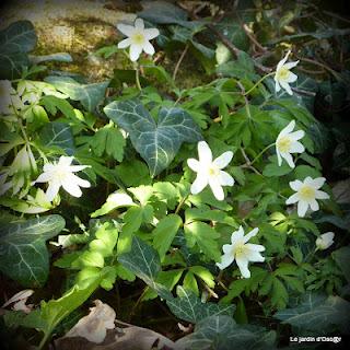 Le beau temps aura encore duré cette semaine malgré des t...