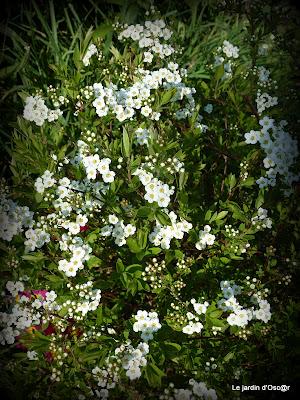 Le beau temps aura encore duré cette semaine malgré des t...