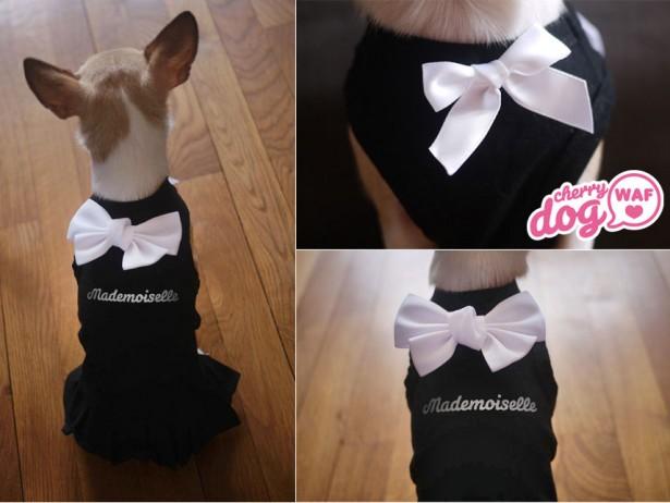 La robe Mademoiselle pour chiens !