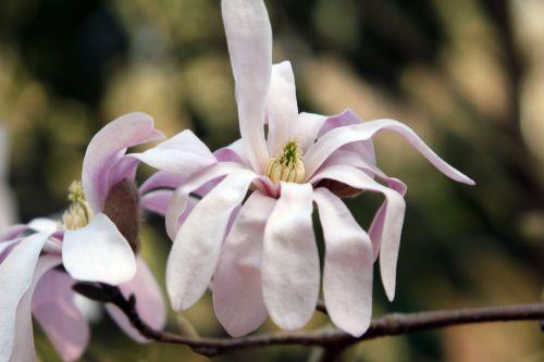 gb 25 mars 2012 076.jpg