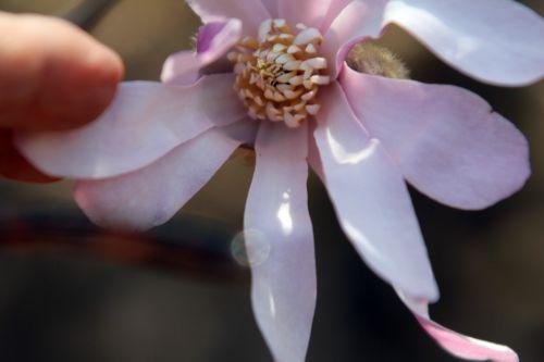 gb 25 mars 2012 077.jpg