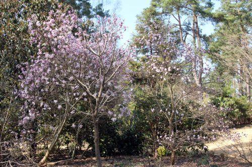 1 gb 25 mars 2012 071.jpg