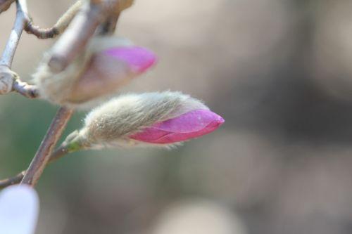 gb 25 mars 2012 079.jpg