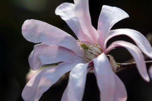 gb 25 mars 2012 078.jpg