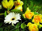 Printemps Joyeuses Pâques Spring Happy Easter